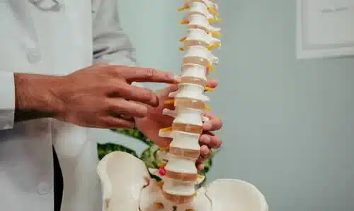 A doctor in his clinic holding up a model of the human backbone and pointing at one of the discs.
