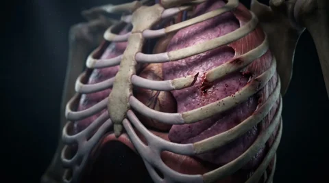 How Does My Lung Get Punctured In A Car Accident In North Carolina